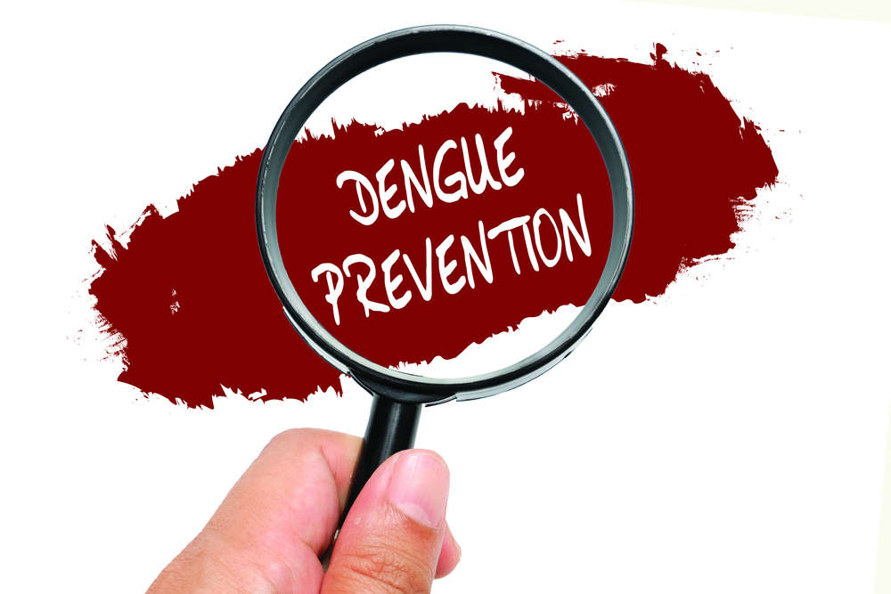 How To Prevent Dengue From Spreading Times Of India