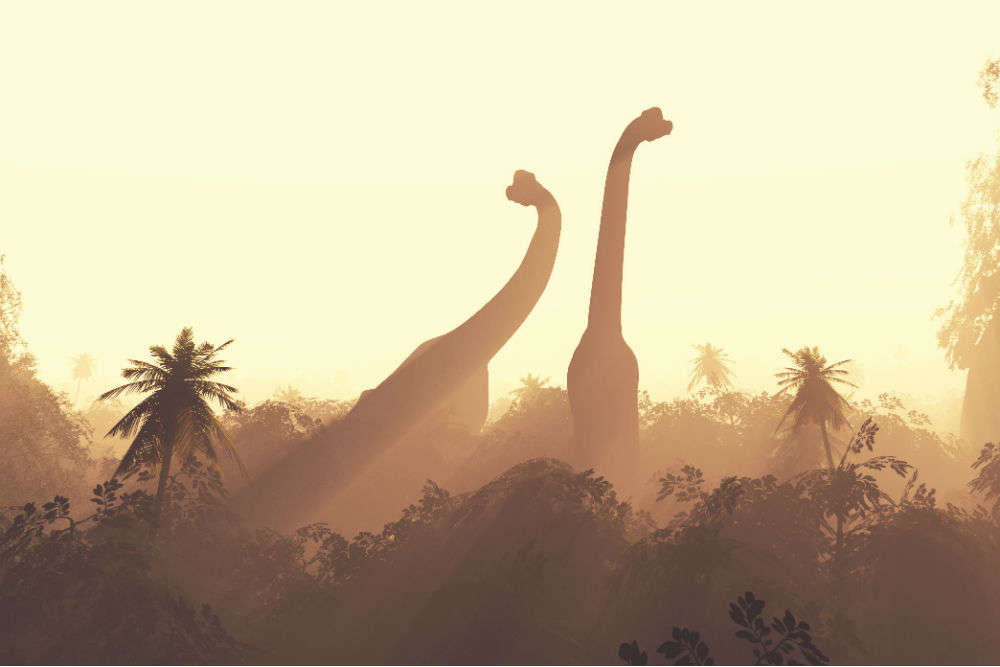 Secret uncovered: Gujarat houses one of the world's largest dinosaur fossil sites