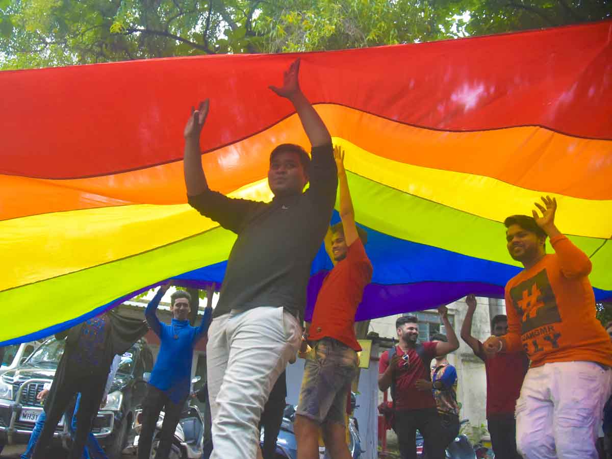 Girl scout journey books