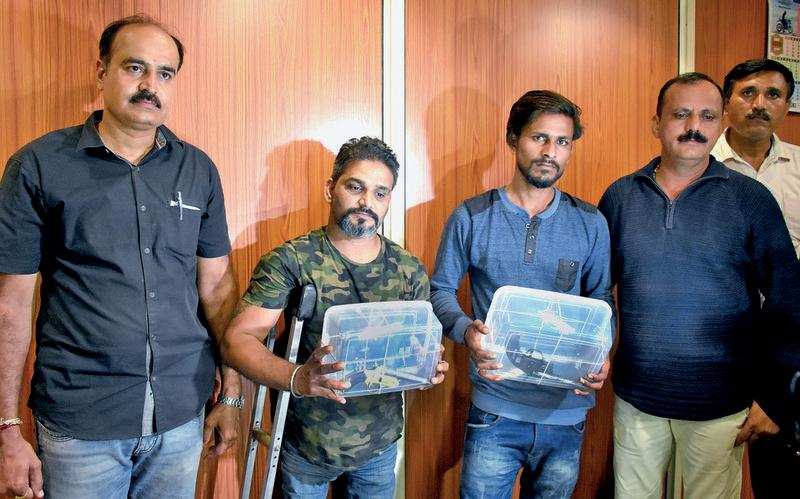 The accused with seized weapons in police custody