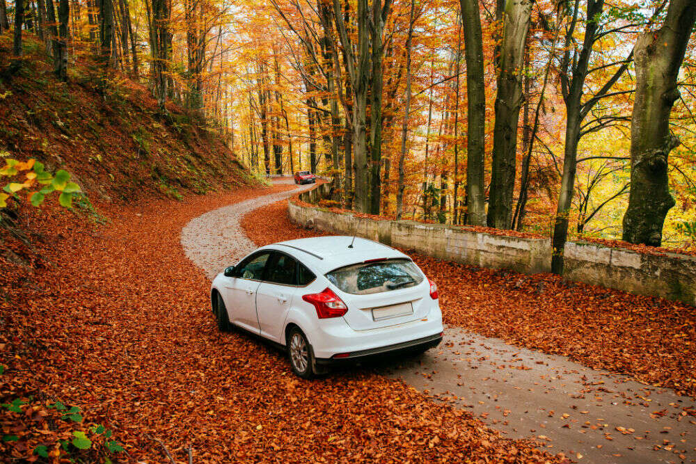 places to visit in autumn in India Times of India Travel