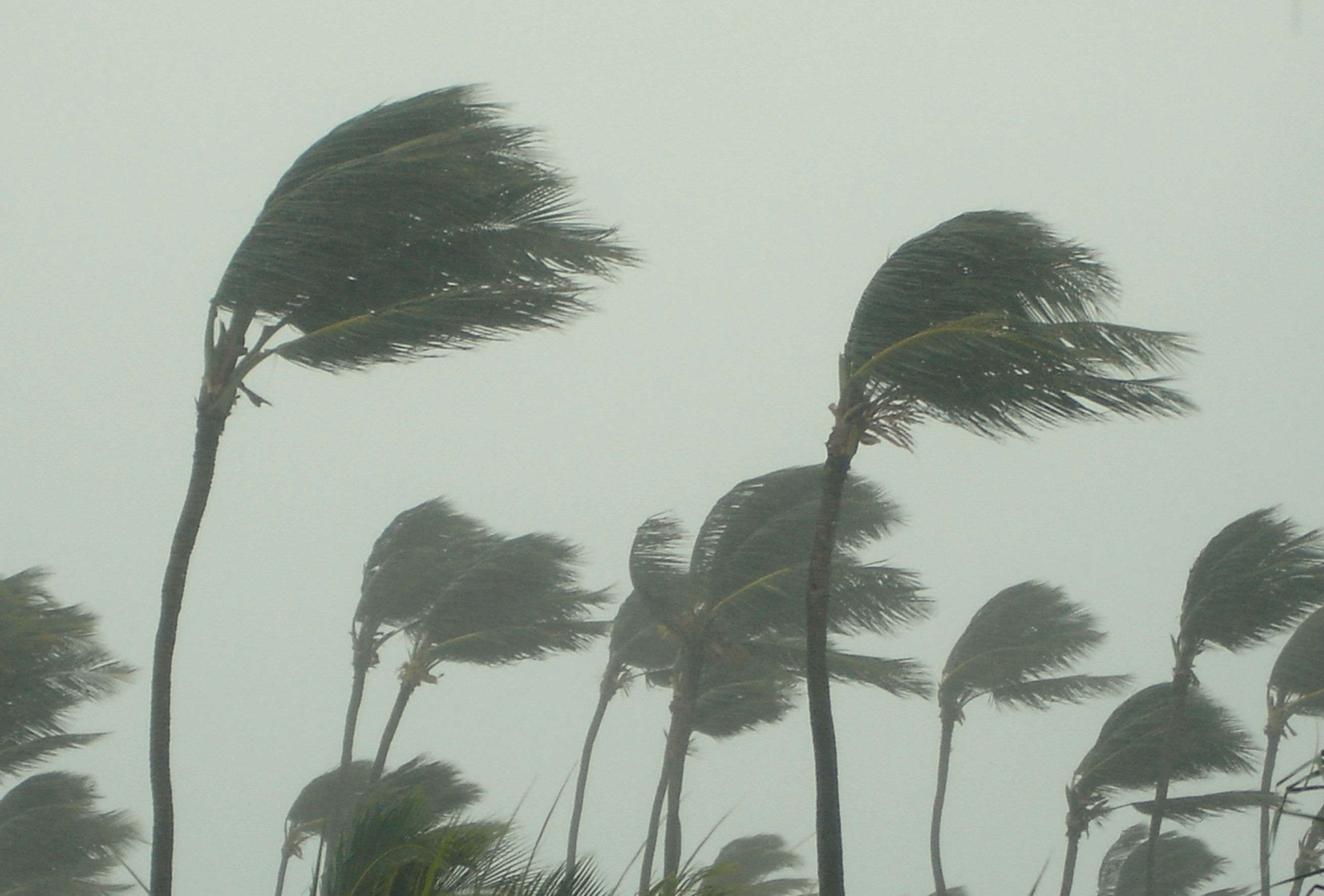 Cyclone in Odisha – travel advisory