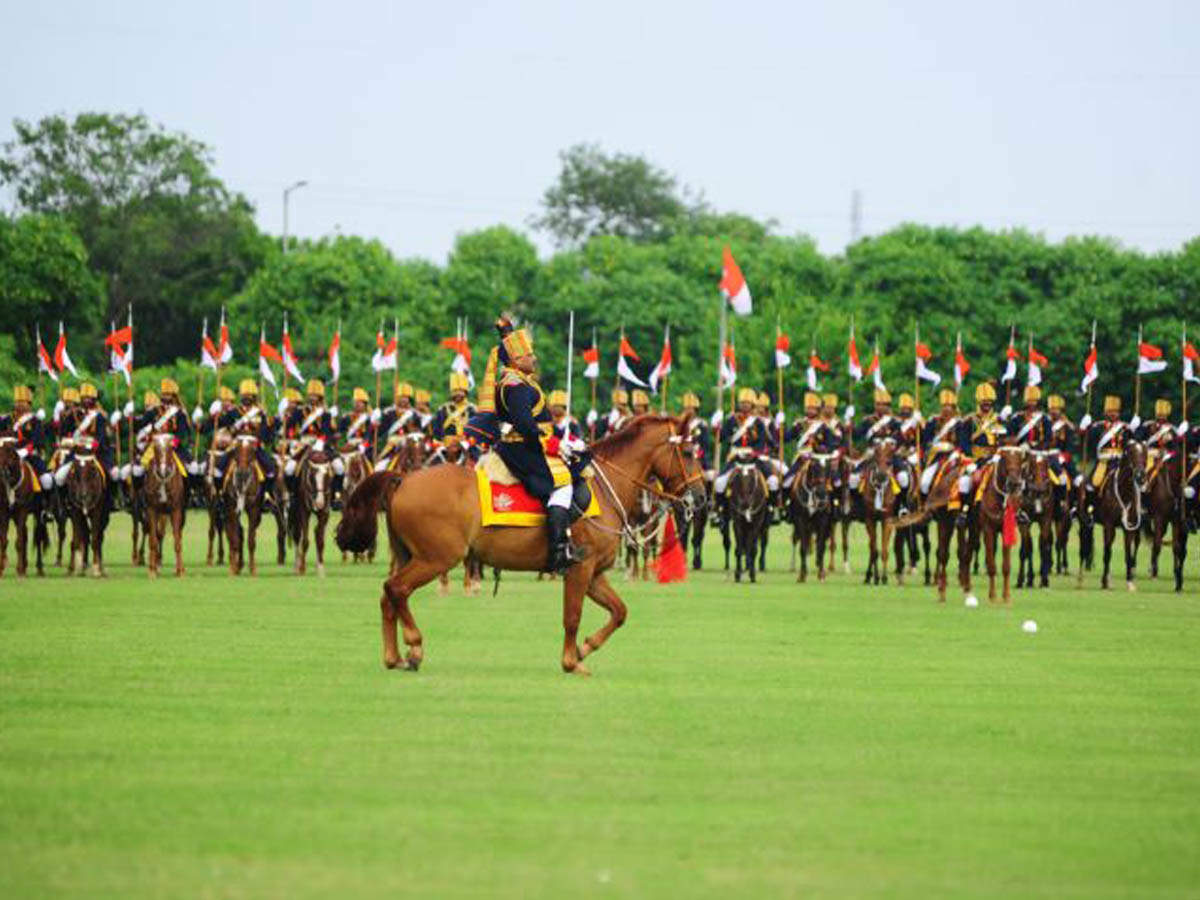 Image result for horse team in parade india