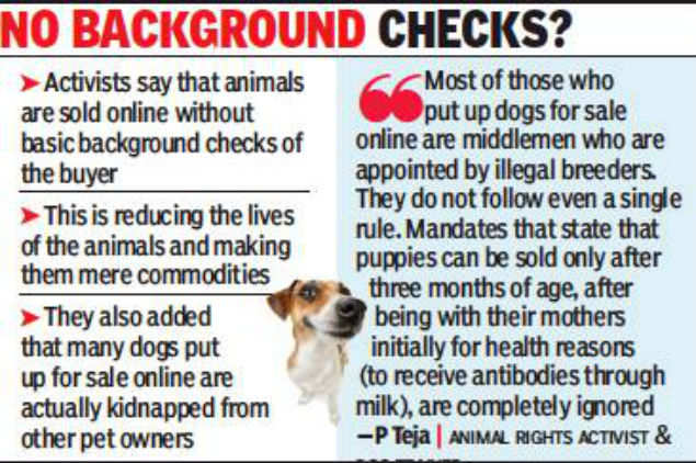 Online sale of animals: Activists raise doubts over rule violations |  Hyderabad News - Times of India