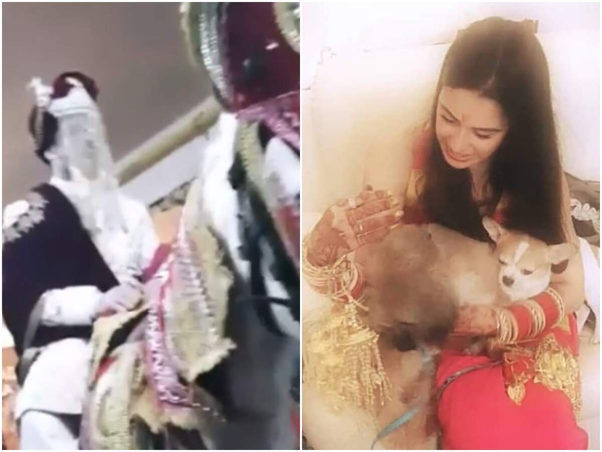 Prince Narula and Yuvika Chaudhary Wedding: The groom makes a grand entry; Yuvika looks pretty at her chooda ceremony - Times of India