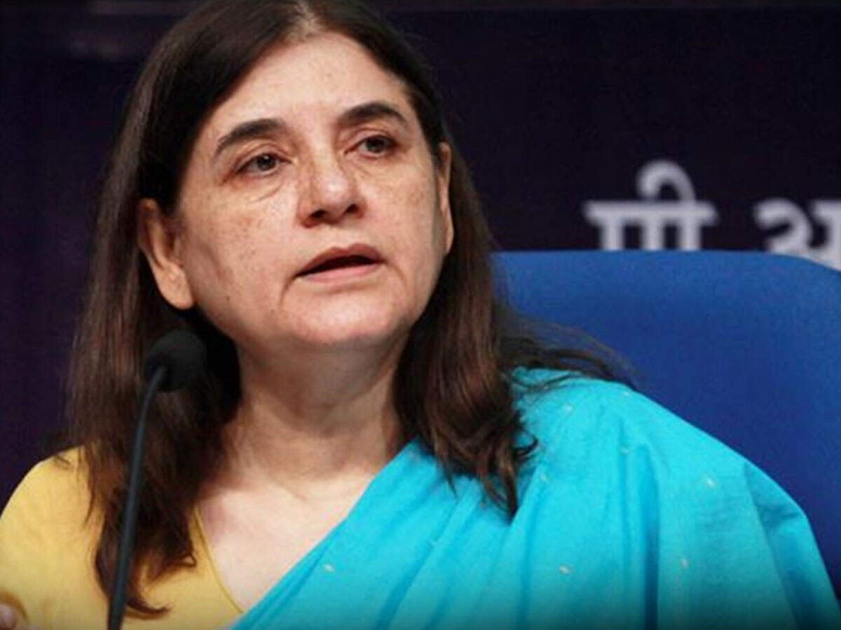 #MeToo Movement: Maneka Gandhi proposes panel to probe allegations - Times of India