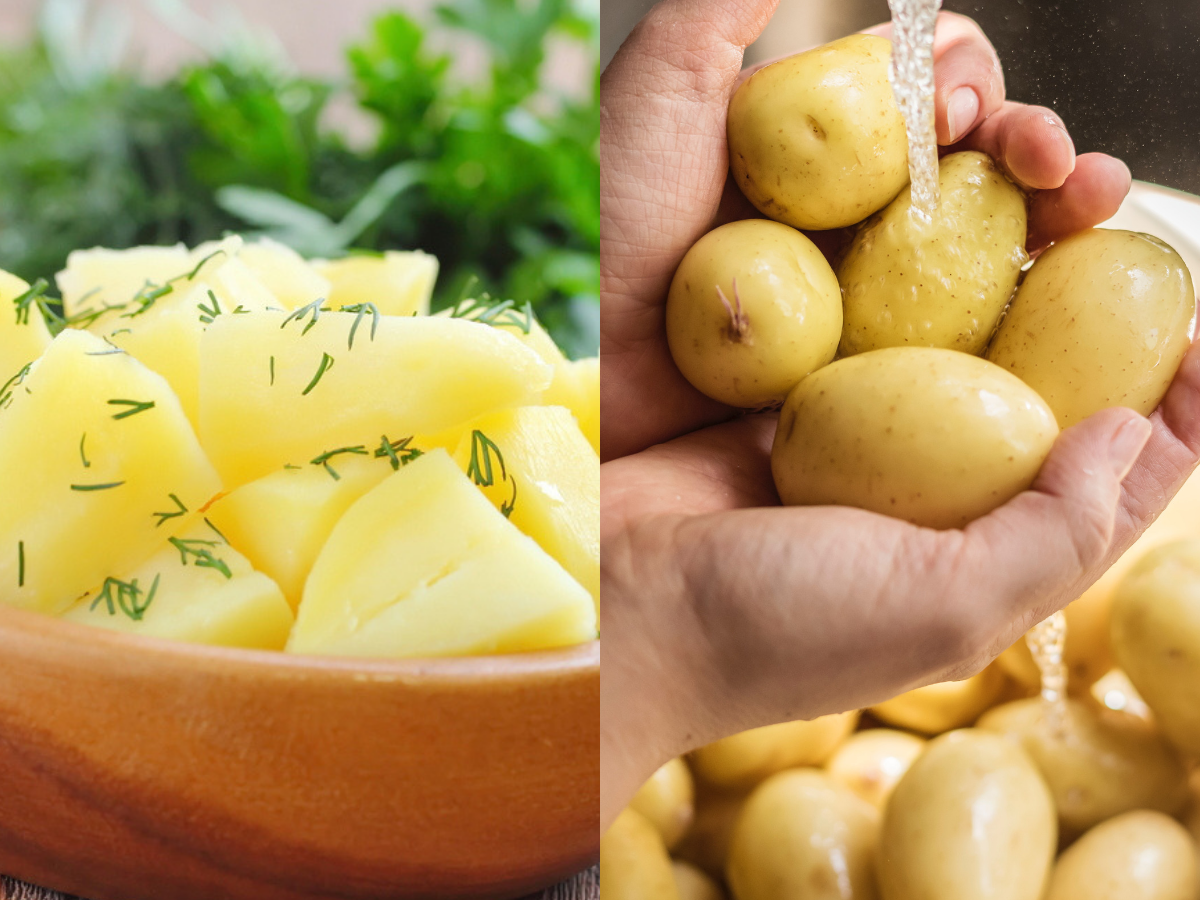 does-the-potato-diet-work-for-losing-weight-we-tell-you-times-of-india