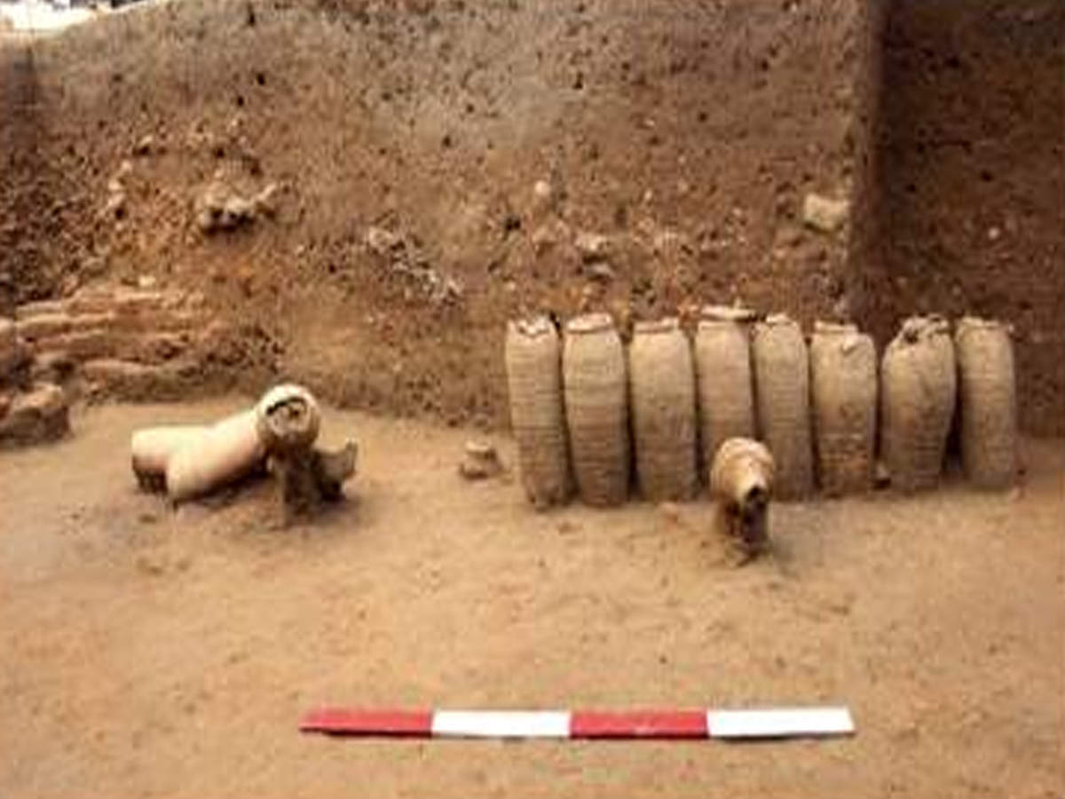 Pattanam was the Mohenjo-daro of South India' | Chennai News - Times of  India