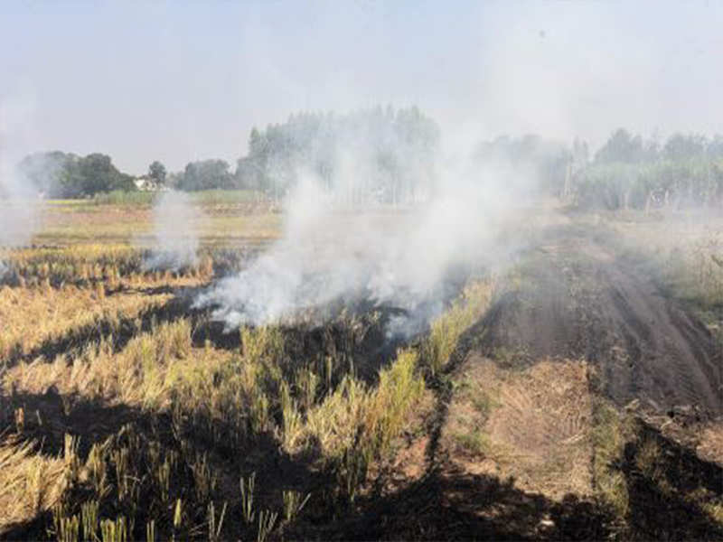 Crop fires double ahead of Diwali, toxic days ahead in NCR