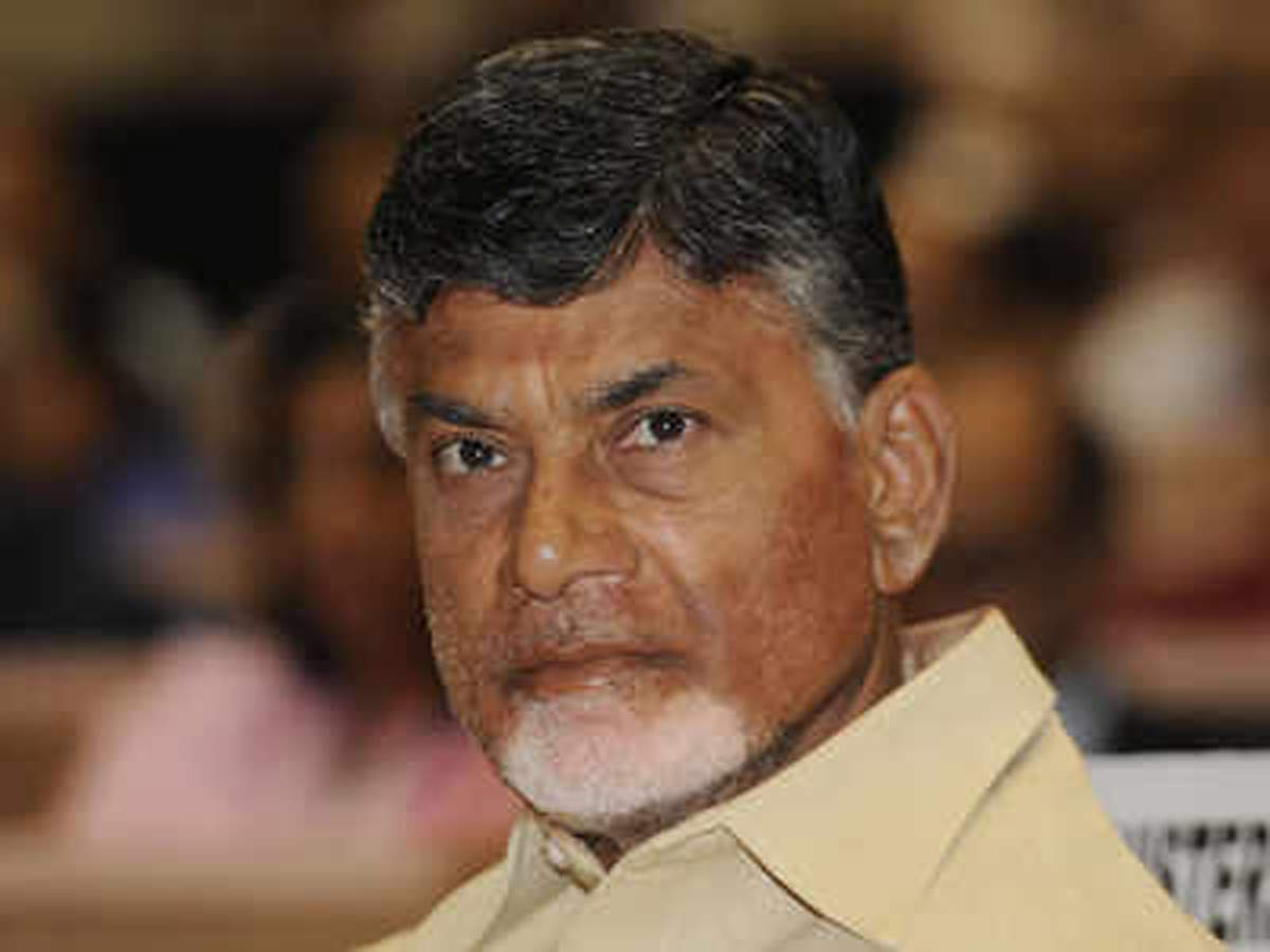 Andhra Pradesh chief minister and Telugu Desam Party chief N Chandrababu Naidu.