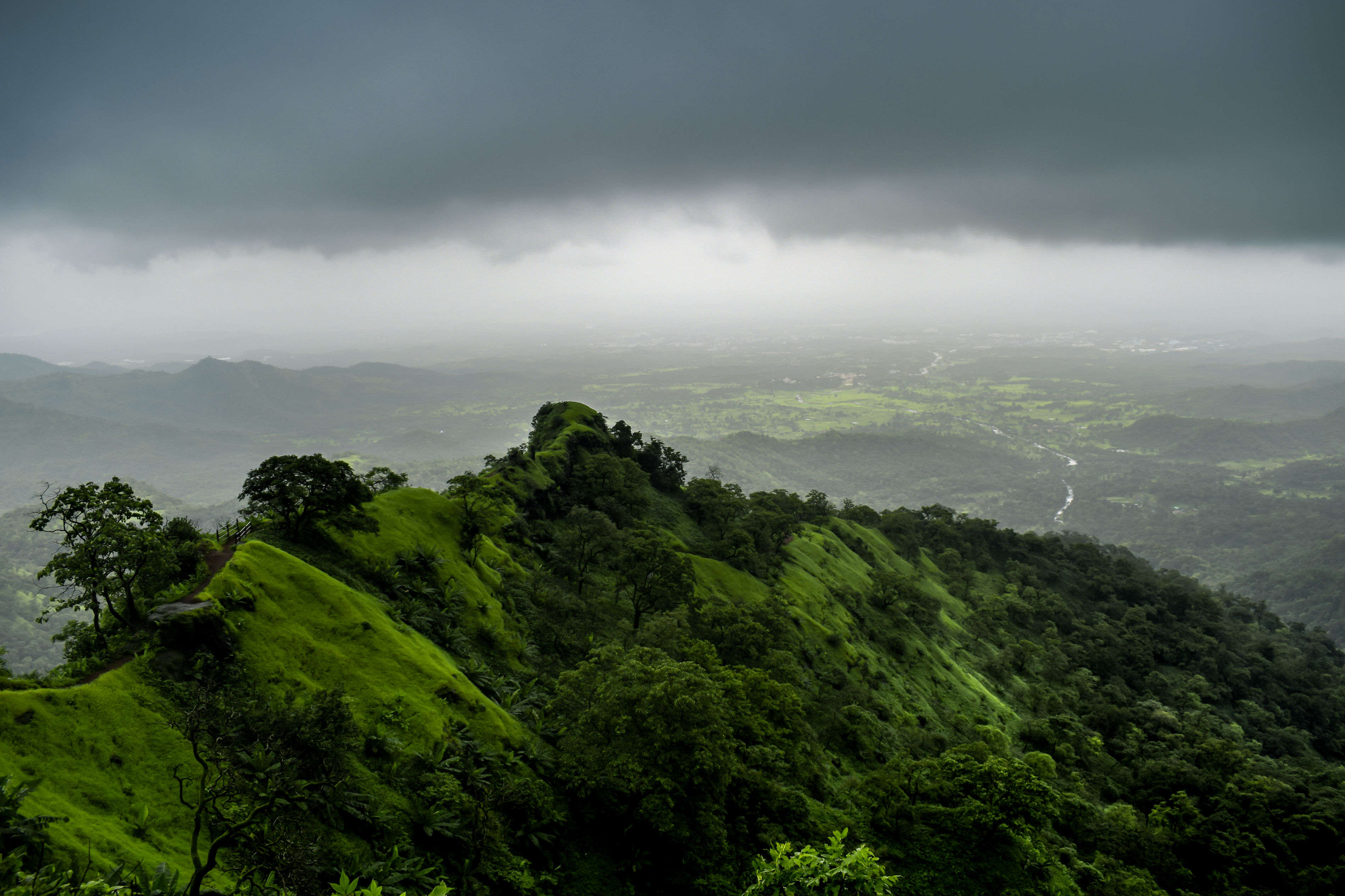 Now experience the Western Ghats through India's first canopy walk