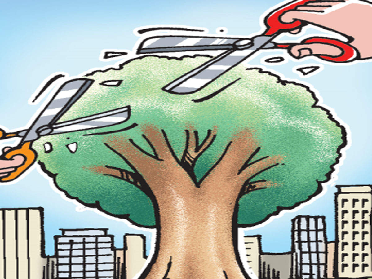 Social forestry gets 40 requests each month for nod to cut trees | Kochi  News - Times of India