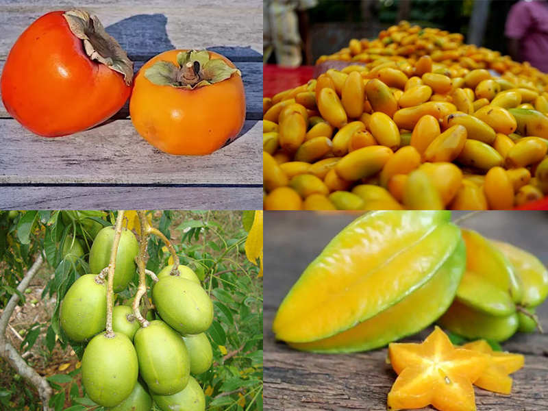 10 Rare Indian Fruits That Are So Tasty You Must Try Them Now