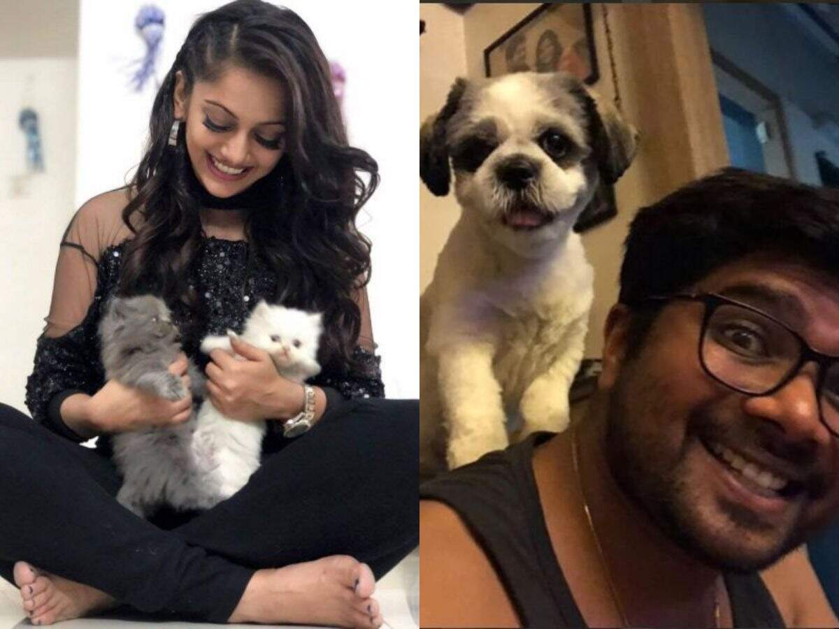 Did you know these Marathi celebs are pet lovers? | Marathi Movie News - Times of India Did you know these Marathi celebs are pet lovers? | Marathi Movie News - Times of India