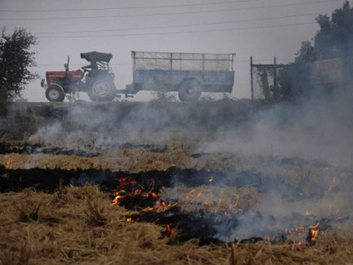 Commuters make their way through smoke caused by the burning of crop stubble on the outskirts of Amritsar. (PTI file photo)
