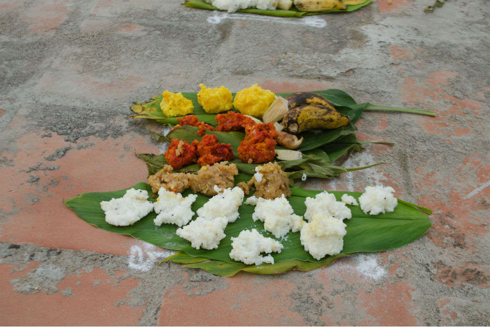Places to visit during Pongal: The best four!