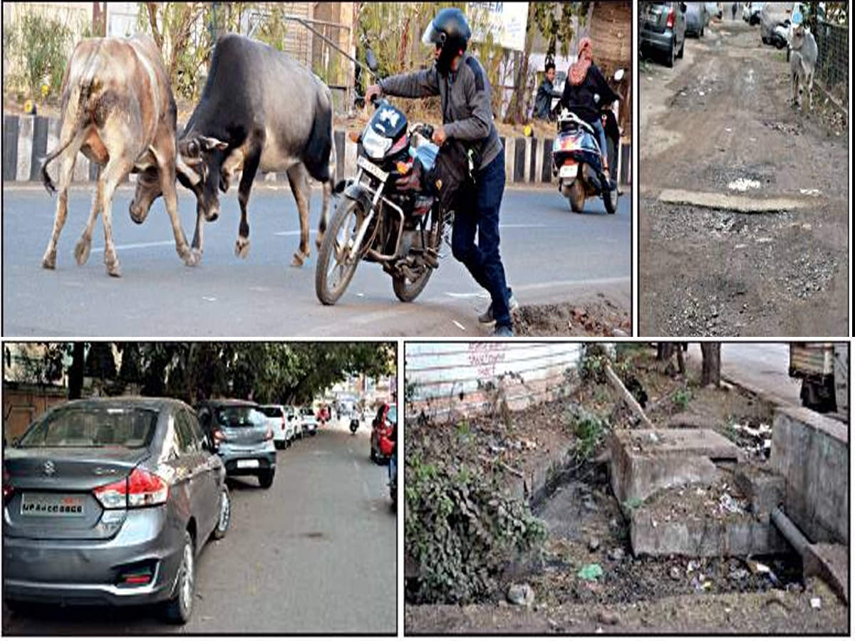 Stray cattle, potholes, open drainages and haphazard parking are perennial problems in Trilanga.