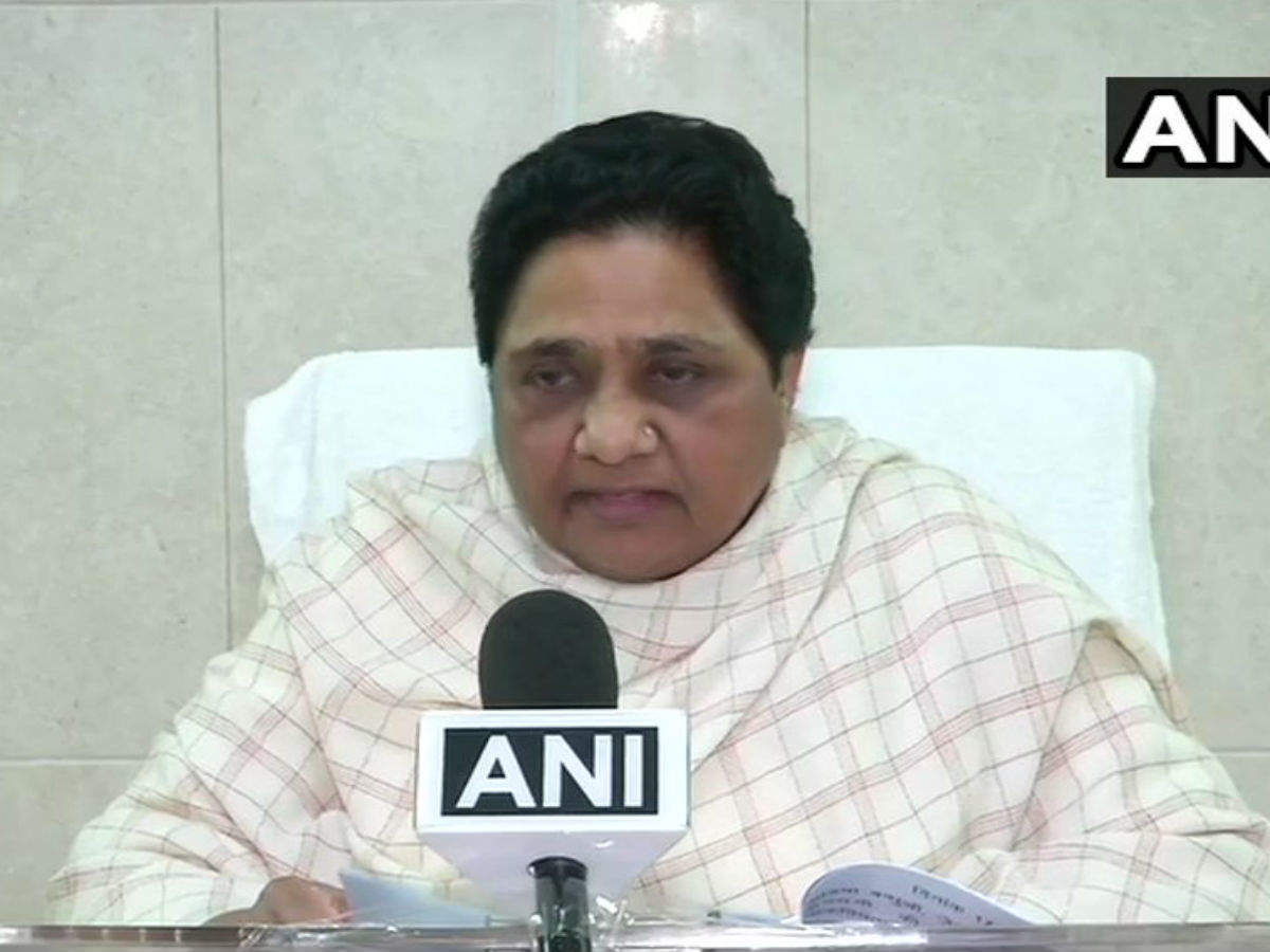 Will make nephew 'join BSP movement', Mayawati hits out at critics over nepotism charges