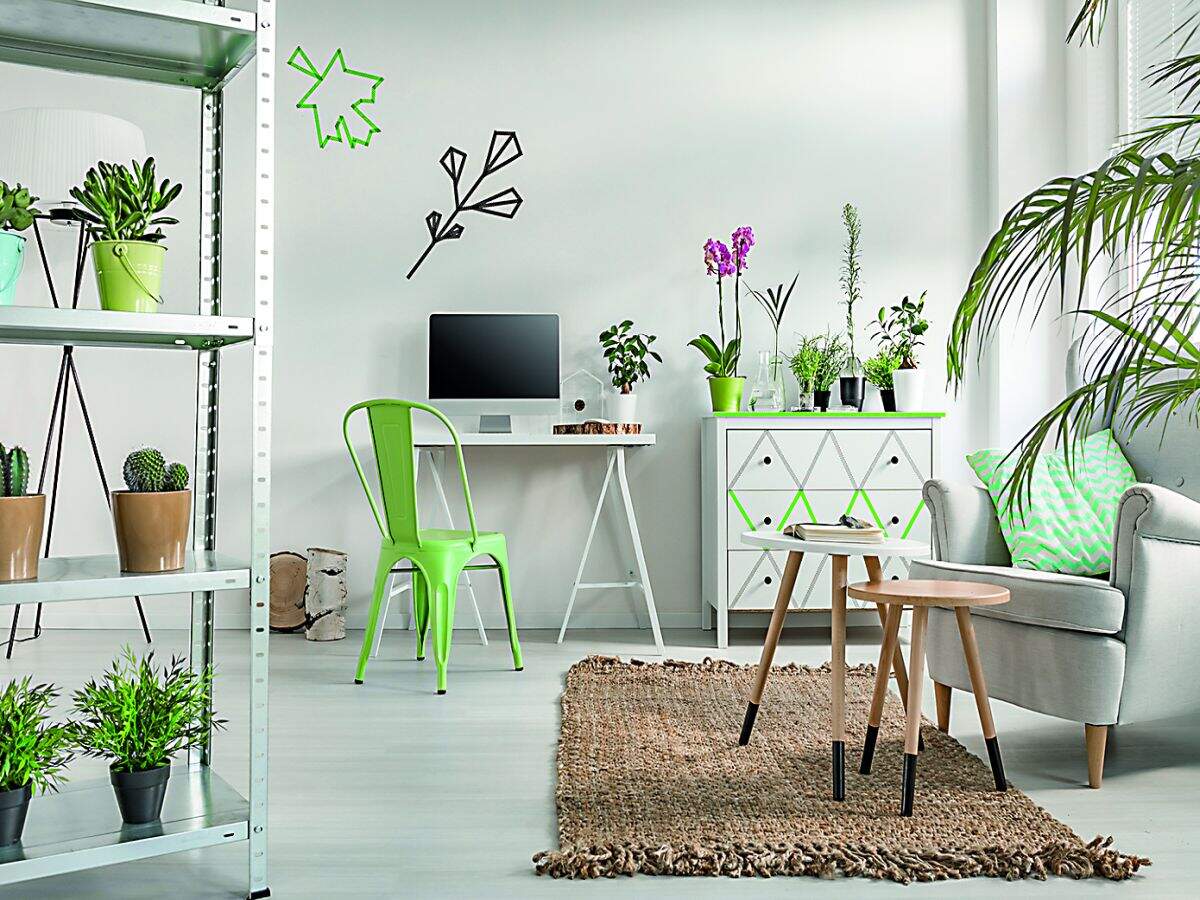 Simple ways to have a green corner in your home Times of India