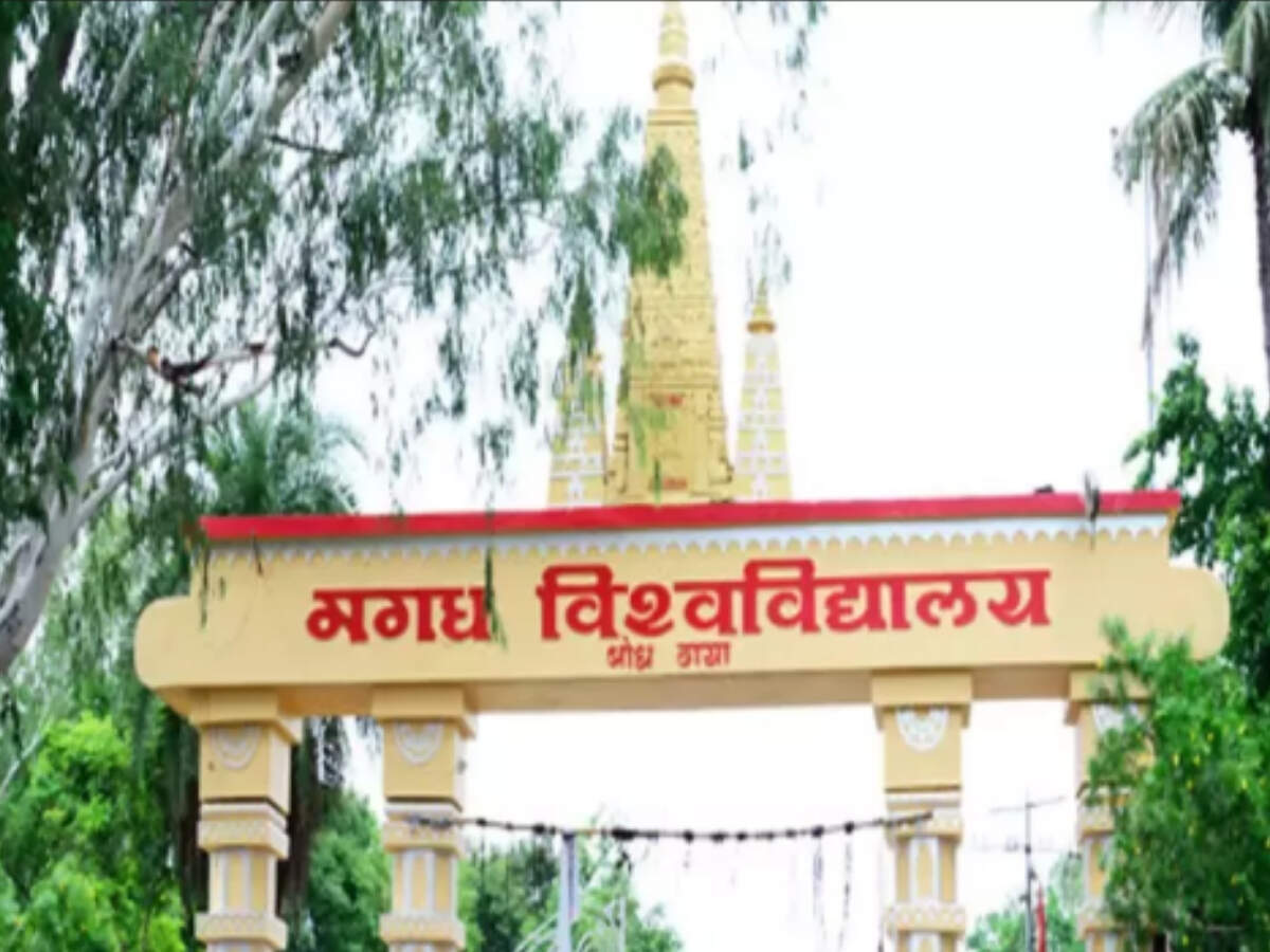 52 PhD dissertations fail plagiarism test in Magadh University | Patna News  - Times of India
