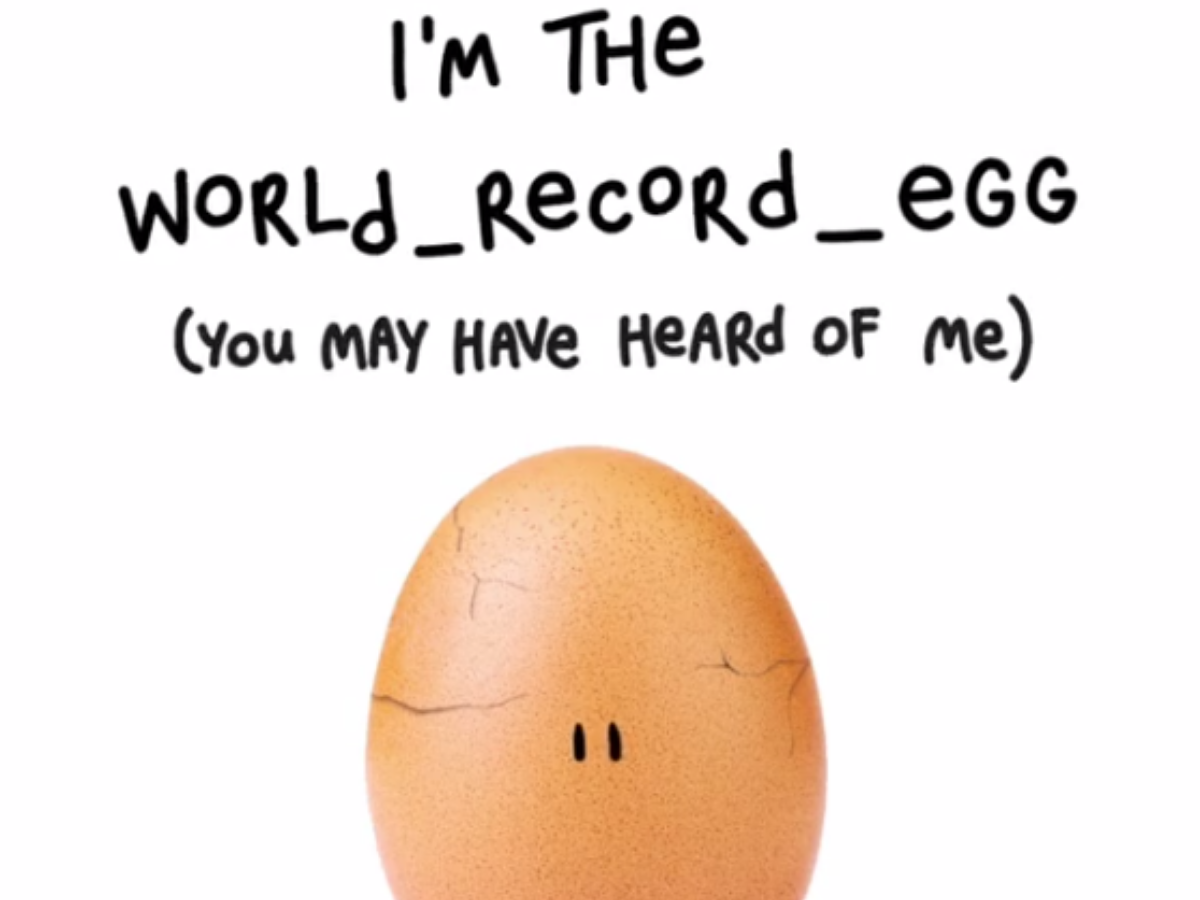They like likes eggs. Яйцо из «инстаграма». World_record_Egg Инстаграм. Яйцо Инстаграм рекорд. Реклама яиц.