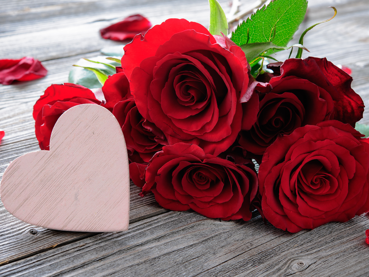 When is Rose Day 2019? Significance and Importance of Rose Day in ...