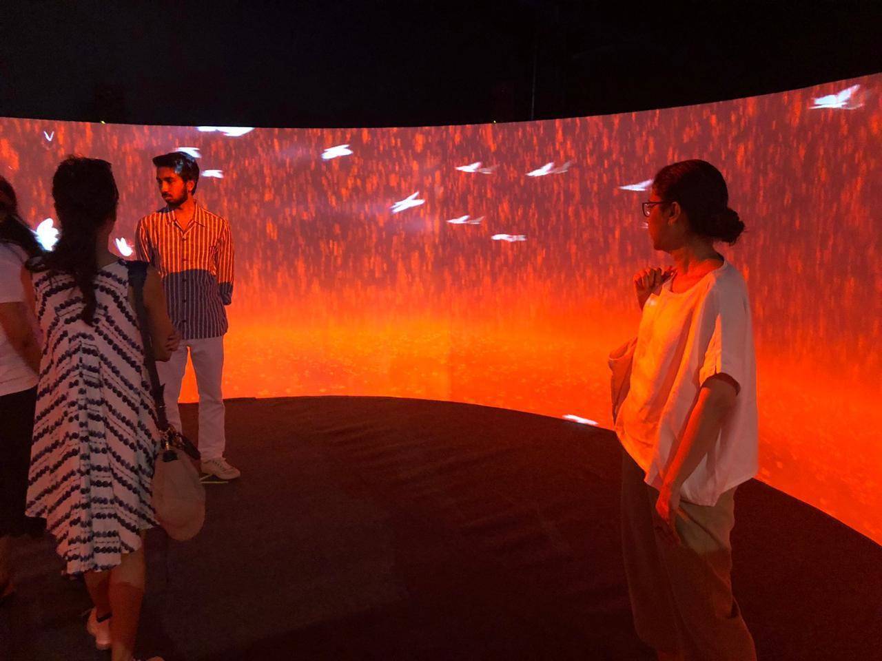 Multimedia installation, Introspection by Michelle Y Poonawalla at Fort Kochi enthralls art buffs