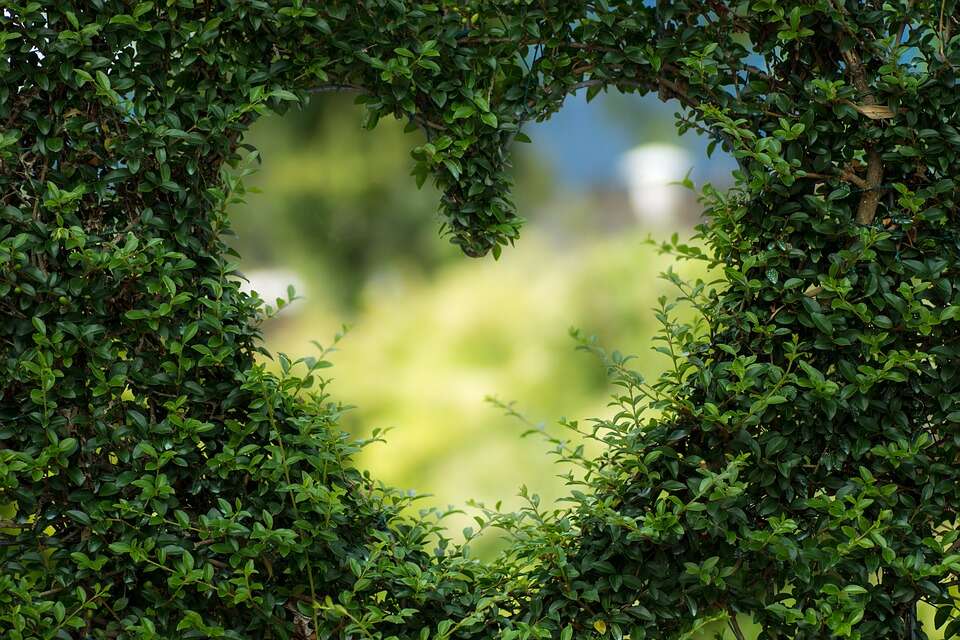 Happy Valentine's Day 2022