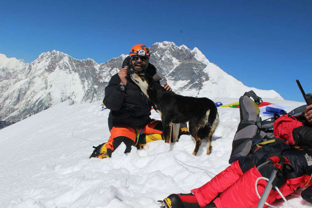Meet Mera, the first dog to trek 23,000 ft in the Himalayas!