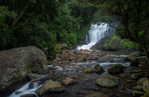 These 5 waterfalls in Kerala make it a haven for nature lovers
