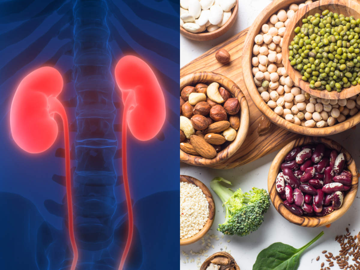 High Protein Effect on Kidneys: A high-protein diet can affect your kidneys  | How Much Protein Damages Kidneys