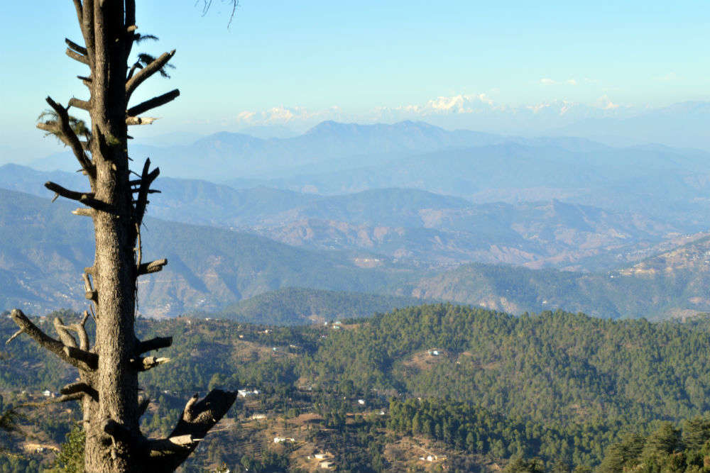 As the pictures say–Mukteshwar, the Shiva temple, Jim Corbett and more