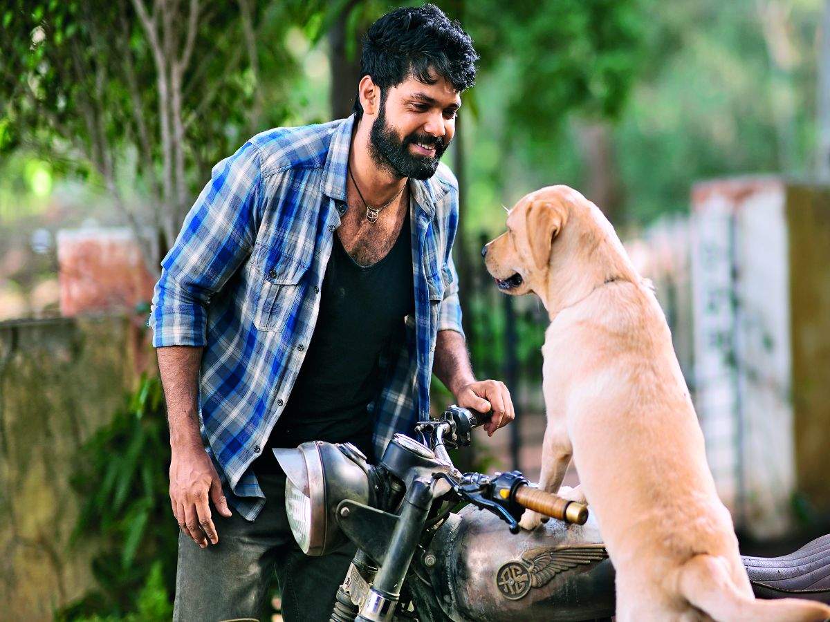 Charlie has made me rediscover my love for dogs' | Kannada Movie ...