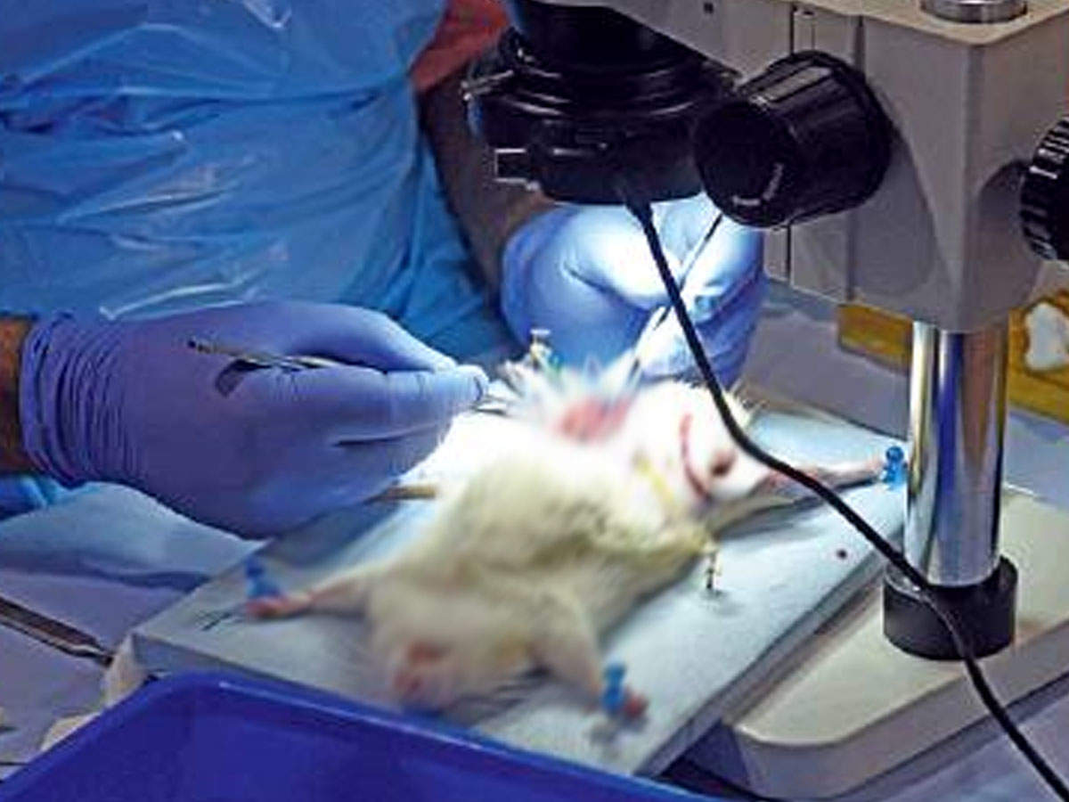 Surgeons can first practice new surgical techniques on live animals, before doing it on human beings, at the animal lab.