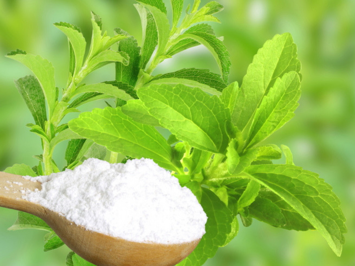 Is stevia a safe alternative to sugar? - Times of India
