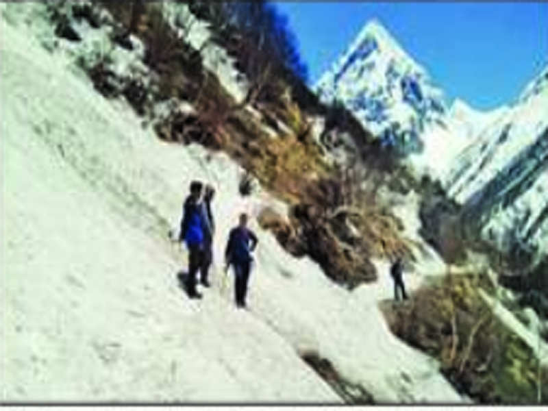  decision has been taken on the basis of a report submitted by a joint team of trekking agencies and forest department, who surveyed the trek route on April 22.