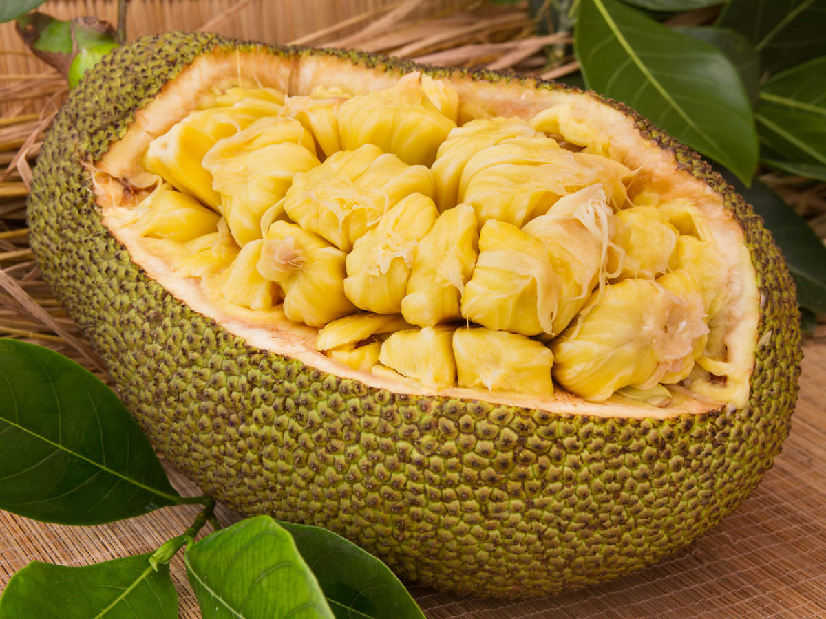 Can we eat jackfruit (kathal) and curd together? - Times of India