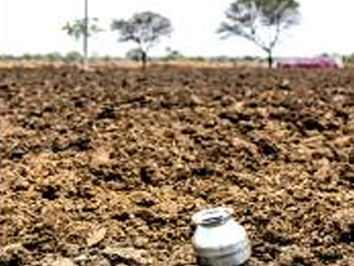 Parched land in Beed