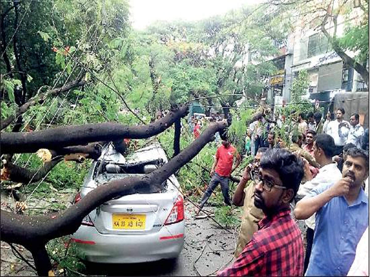 GIANT FALL: A huge tree came crashing down on a car on 100Ft Road, Indiranagar, on Monday