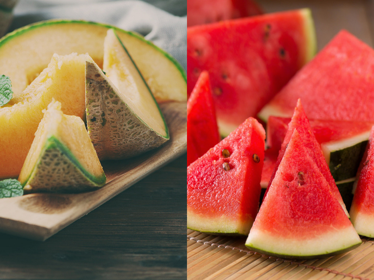 Watermelon Or Muskmelon What Should Be Your Preferred Fruit Choice For Weight Loss Times Of India