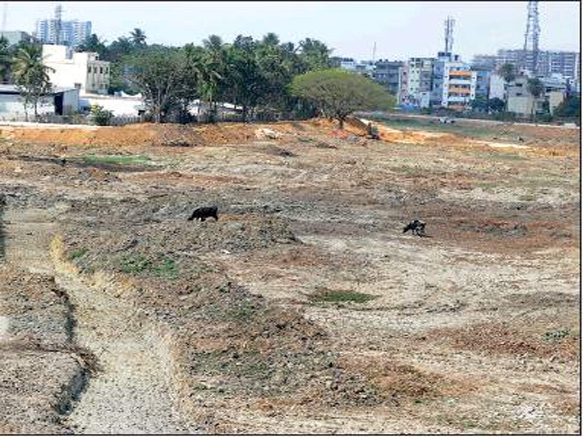 NOT A DROP TO DRINK: A file picture of Gottigere Lake near Bannerghatta in Bengaluru, which has run dry