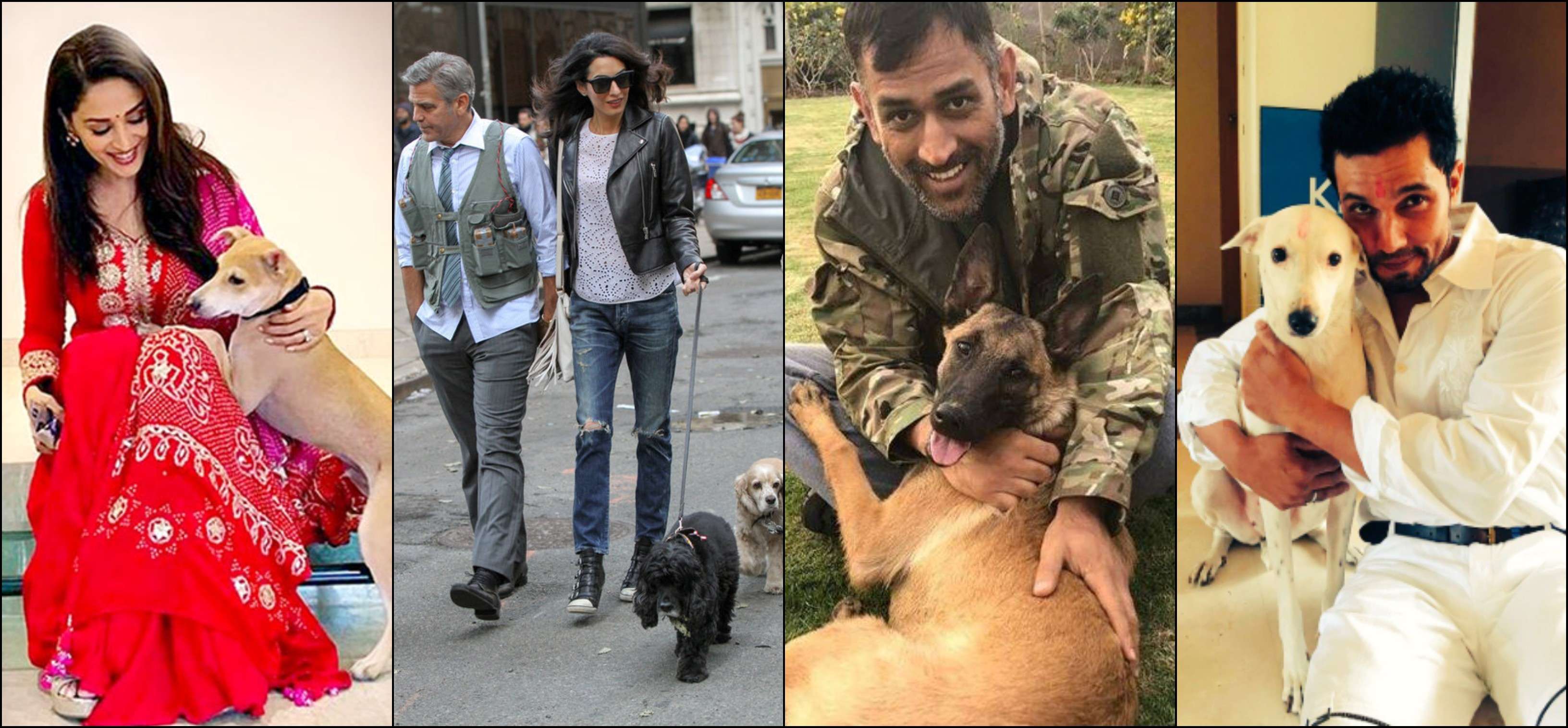 Leading by example: Celebs who brought strays into their lives - Times of  India