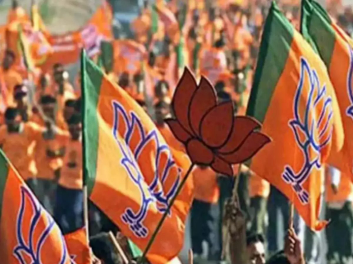 Bharatiya Janata Party (BJP) Flag Colors Color Scheme » Flags »  SchemeColor.com