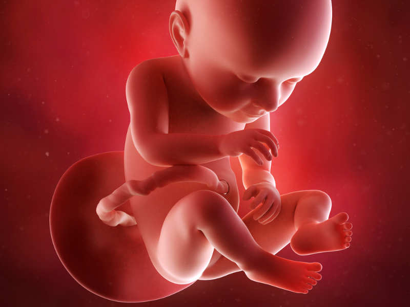 Baby Sucking Porn - 37 weeks pregnant: Eat well, get plenty of rest! - Times of India