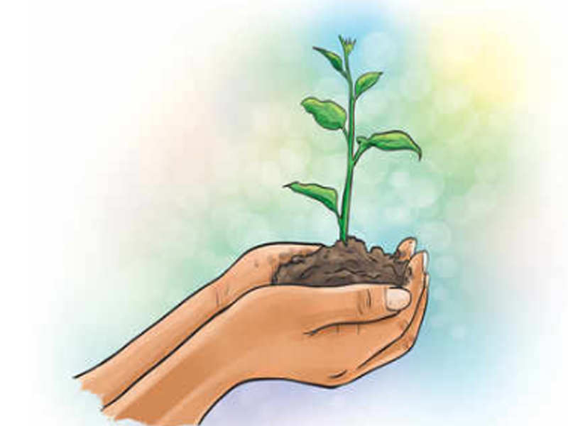 Tree Plantation: Over 26,389 Royalty-Free Licensable Stock Illustrations &  Drawings | Shutterstock