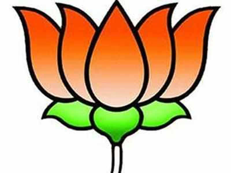 Bjp Looks For New Party Chief In Tamil Nadu Chennai News Times Of India