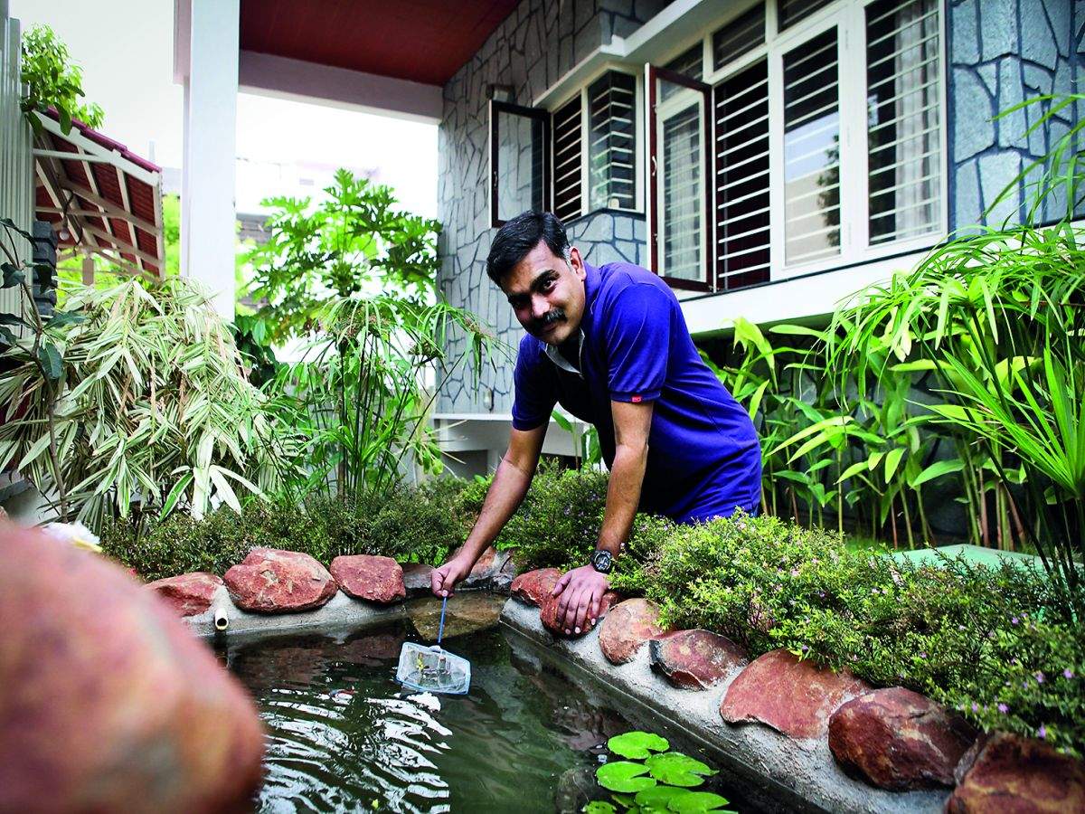 Believe It Or Not This Bengaluru Home Is A Mini Forest In Itself Times Of India