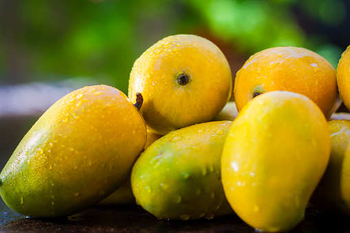 Delhi is gearing up to host the much-awaited 31st Mango Festival