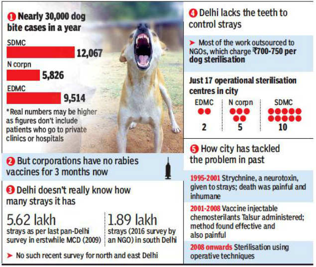 Puppy Vaccination Schedule Chart India
