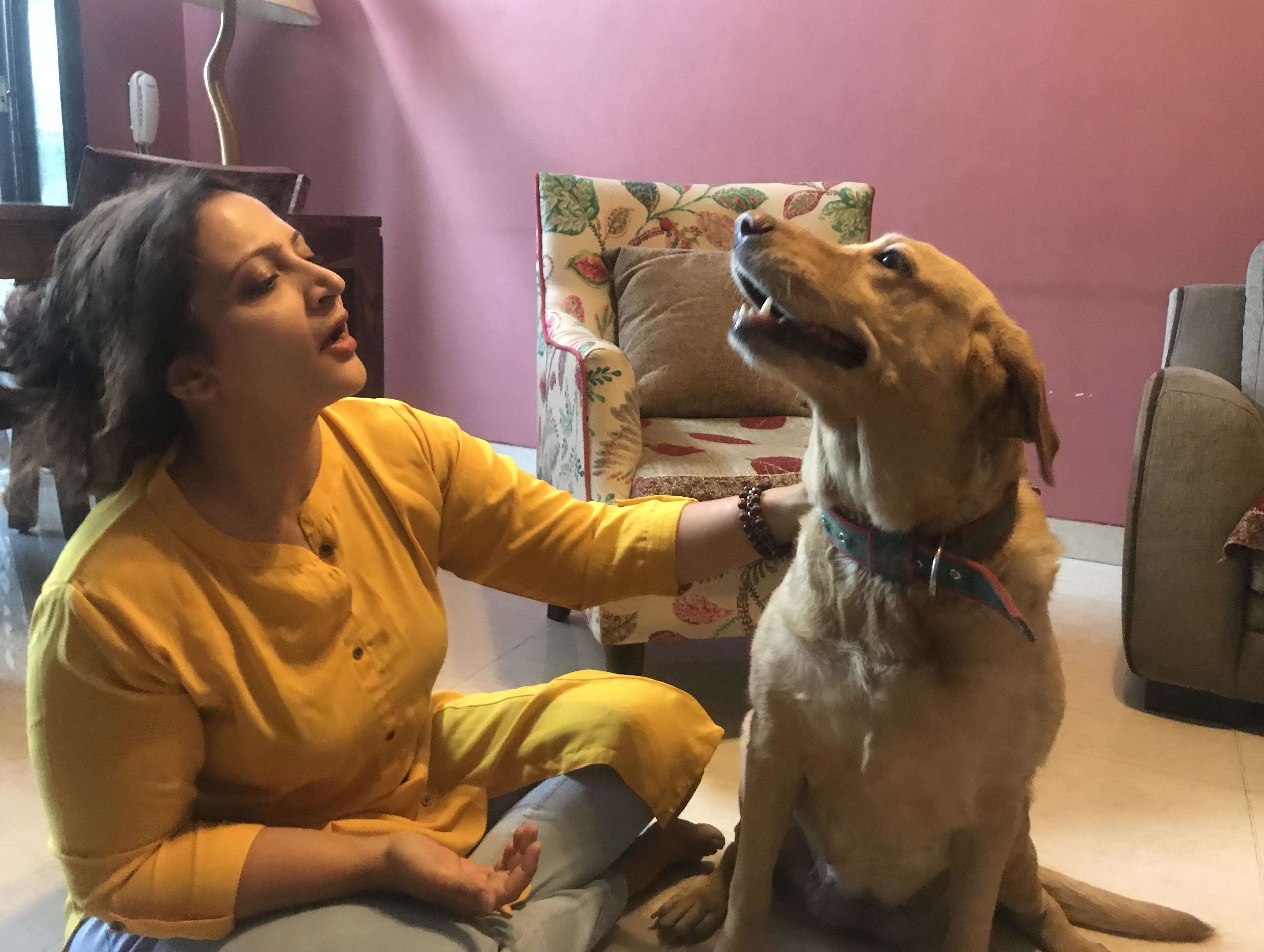 Can pets talk? Yes, say these animal communicators - Times of India